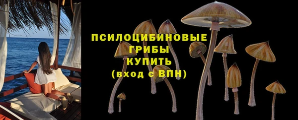 СК Горняк
