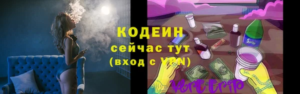 СК Горняк