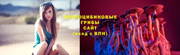СК Горняк