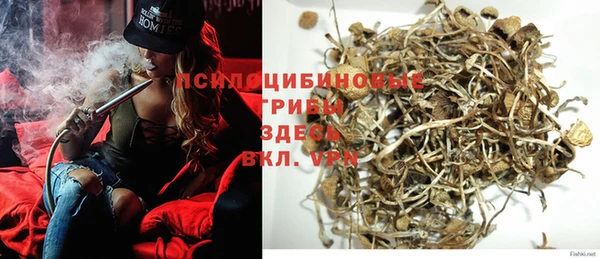 СК Горняк