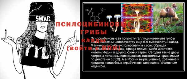 СК Горняк