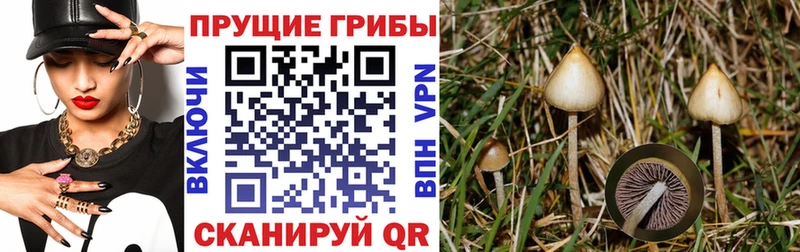 Псилоцибиновые грибы мицелий  магазин продажи наркотиков  Уфа 